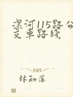 漯河115路公交车路线