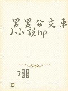 男男公交车(h)小说np