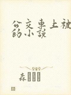 公交车上被高潮的小说