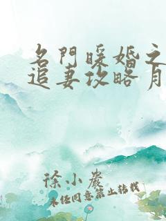 名门暖婚之权爷追妻攻略月初姣姣