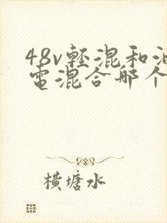 48v轻混和油电混合哪个好