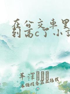 在公交车里c弄到高c了小说
