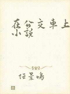 在公交车上被蹭小说