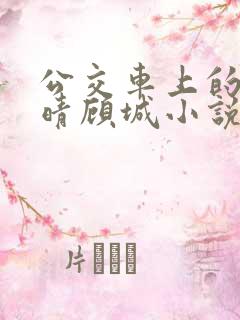 公交车上的诗请晴顾城小说