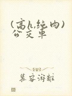 (高h,纯肉)公交车