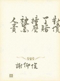人被撞了对方全责怎么赔偿