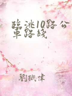 临洮10路公交车路线