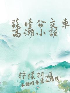 苏晴公交车被弄高潮小说