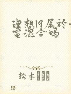 理想l9属于油电混合吗