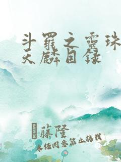 斗罗之灵珠神剑天麟目录