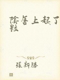 阴唇上起了小颗粒