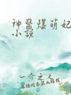 神医爆萌妃原著小说