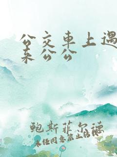 公交车上遇到未来公公