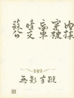 苏晴忘穿内裤坐公交车被揉到
