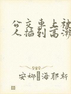 公交车上被陌生人插到高潮