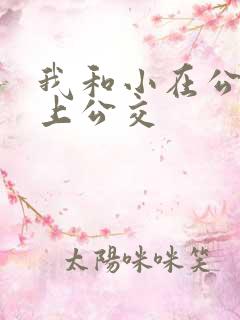 我和小在公交车上公交