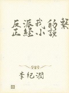 反派我的系统不正经小说