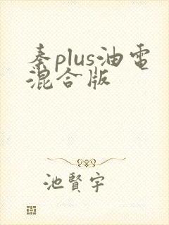 秦plus油电混合版