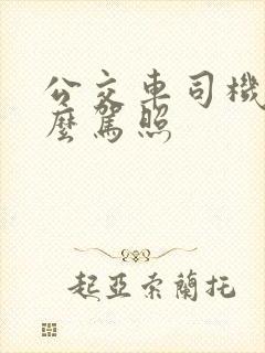 公交车司机要什么驾照