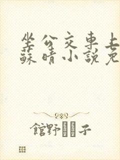 坐公交车上班的苏晴小说免费阅读