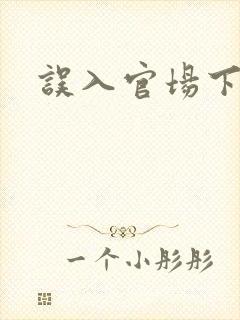 误入官场下载