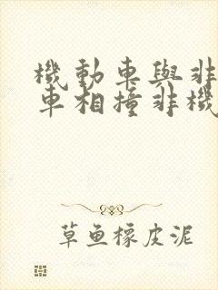 机动车与非机动车相撞非机动车全责