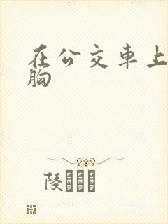 在公交车上被摸胸