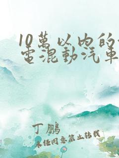 10万以内的油电混动汽车