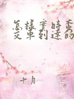 怎样实时查看公交车到达的位置