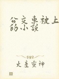 公交车被上高潮的小说