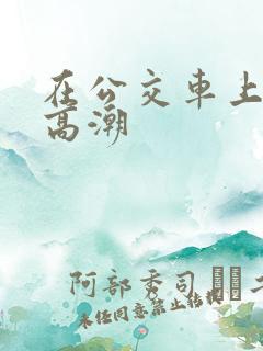 在公交车上做到高潮