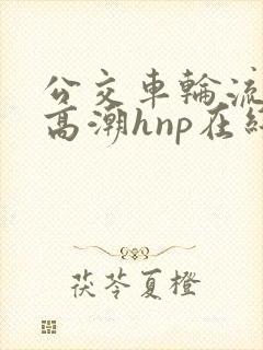 公交车轮流澡到高潮hnp在线观看