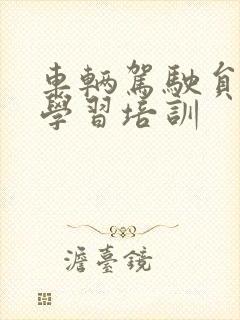 车辆驾驶员安全学习培训