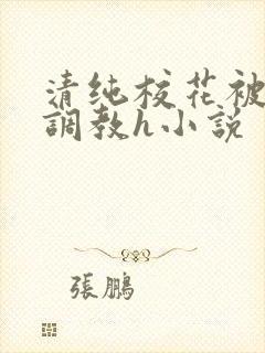 清纯校花被地狱调教h小说