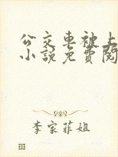 公交车被上高潮小说免费阅读