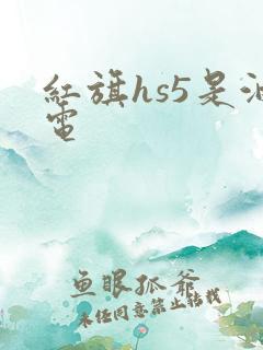 红旗hs5是油电