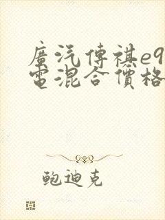 广汽传祺e9油电混合价格