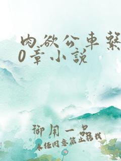 肉欲公车系500章小说