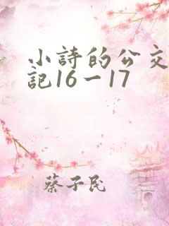 小诗的公交车日记16一17
