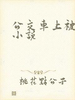 公交车上被嗯啊小说
