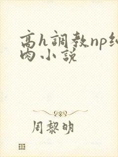 高h调教np纯肉小说