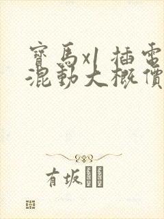 宝马x1 插电混动大概价格多少钱