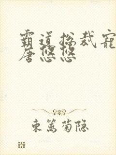 霸道总裁宠上天唐悠悠
