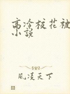 高冷校花被调教小说