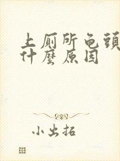 上厕所龟头疼是什么原因