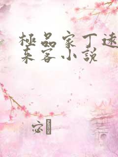 极品家丁远方的来客小说