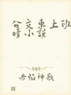 公交车上班的苏晴小说