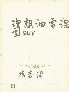 理想油电混合车型suv