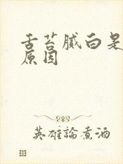 舌苔腻白是什么原因
