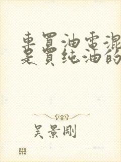 车买油电混动还是买纯油的好